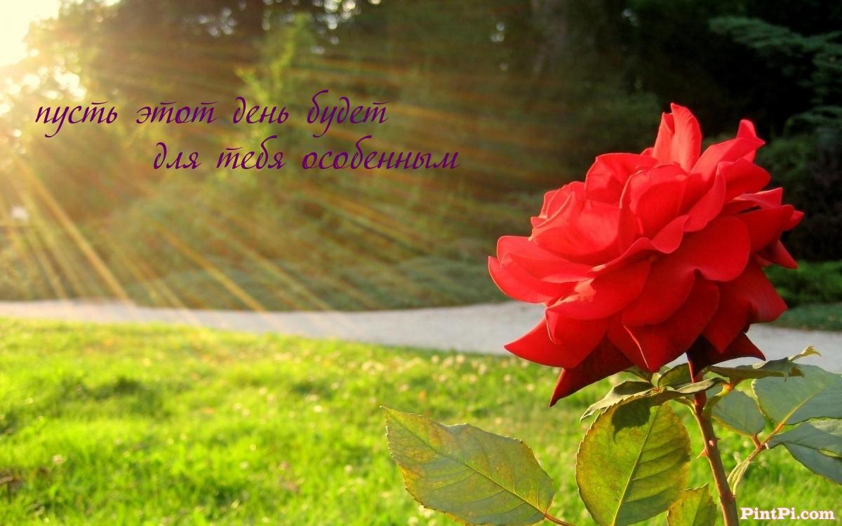 пусть этот день будет для тебя особенным