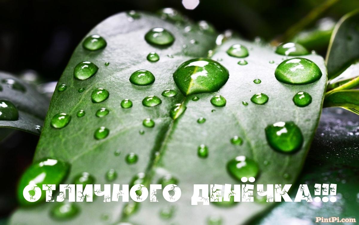 Отличного денёчка!