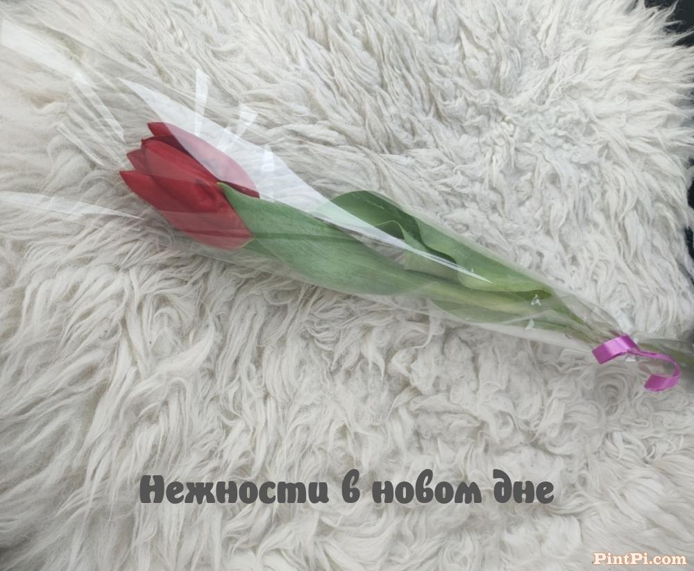 Нежности в новом дне