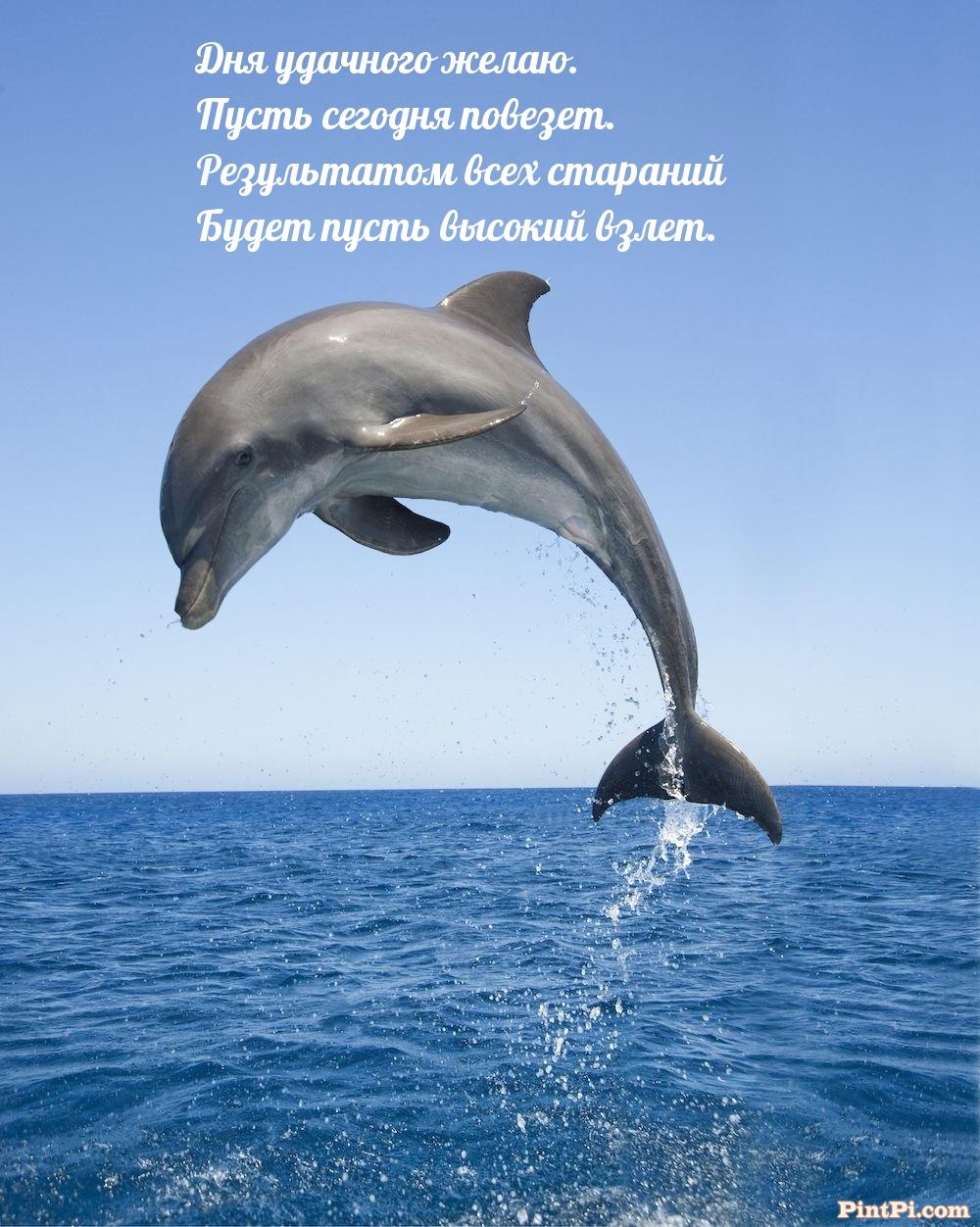 Дня удачного желаю. Пусть сегодня повезет.