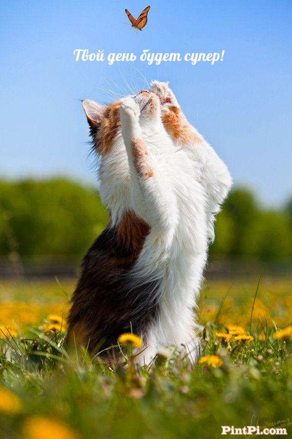 Твой день будет супер!