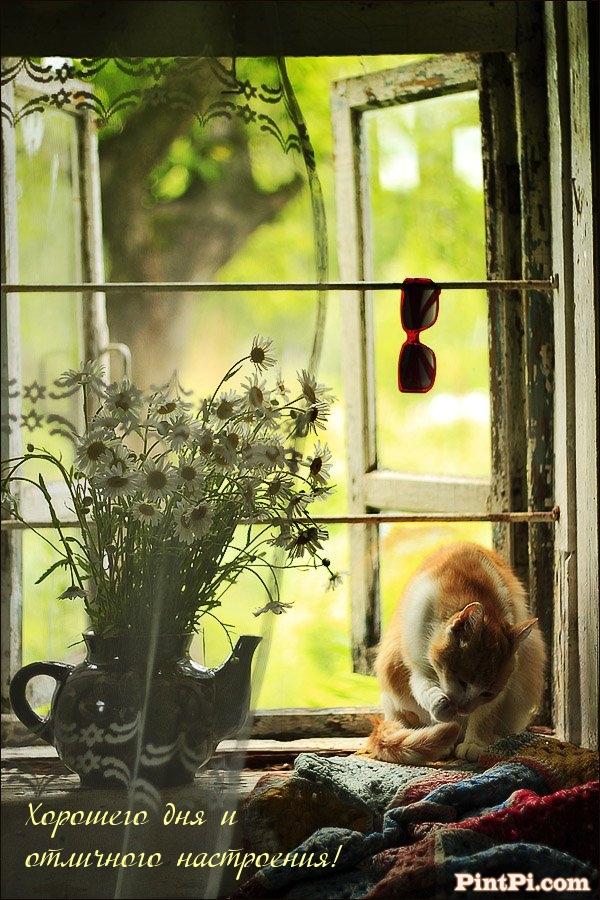 Хорошего дня и отличного настроения!