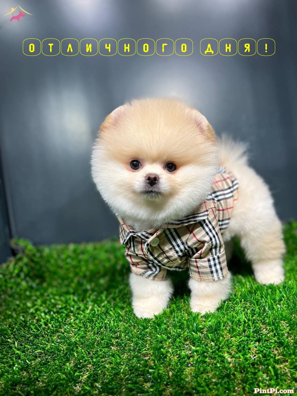 Отличного дня!