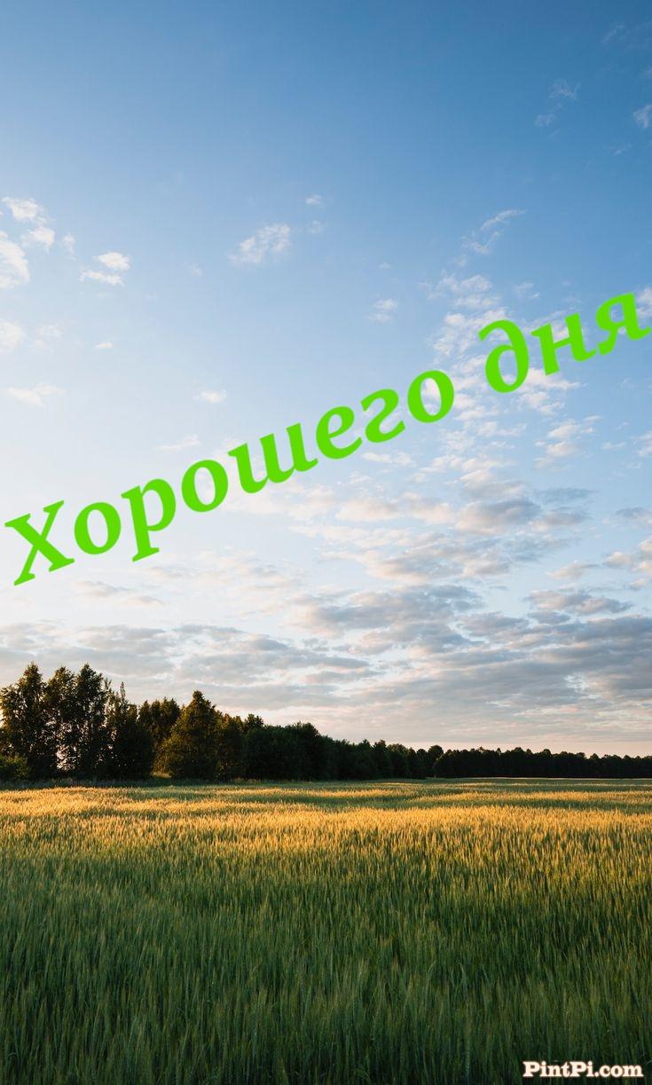 Хорошего дня