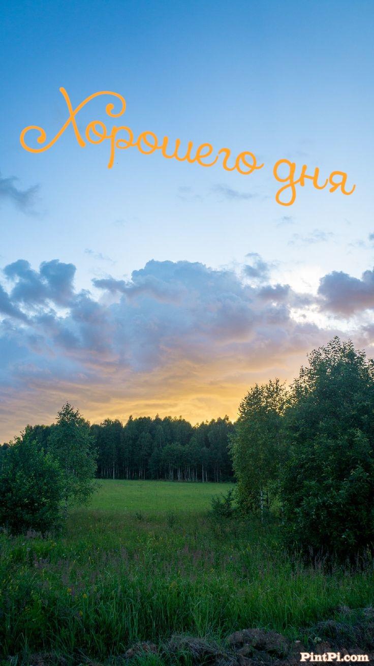 Хорошего дня