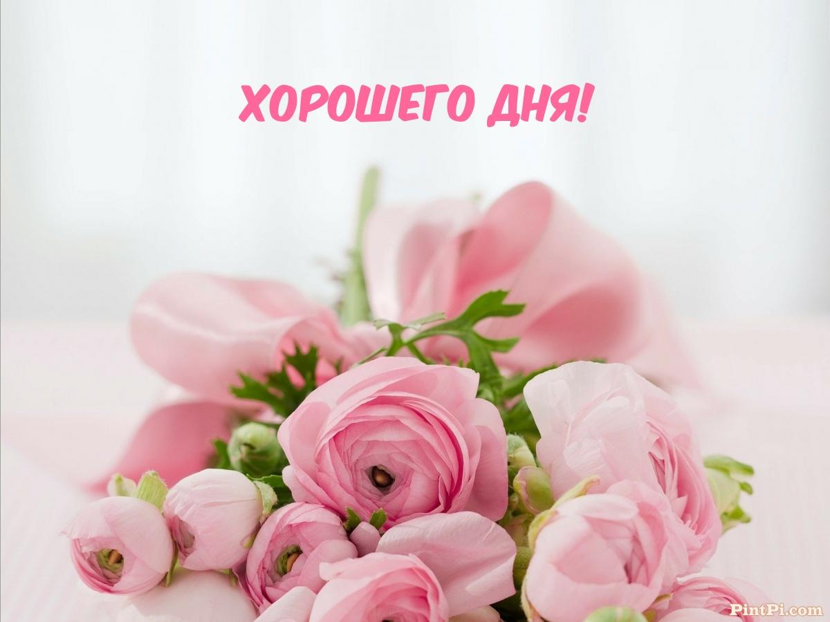 Хорошего дня!