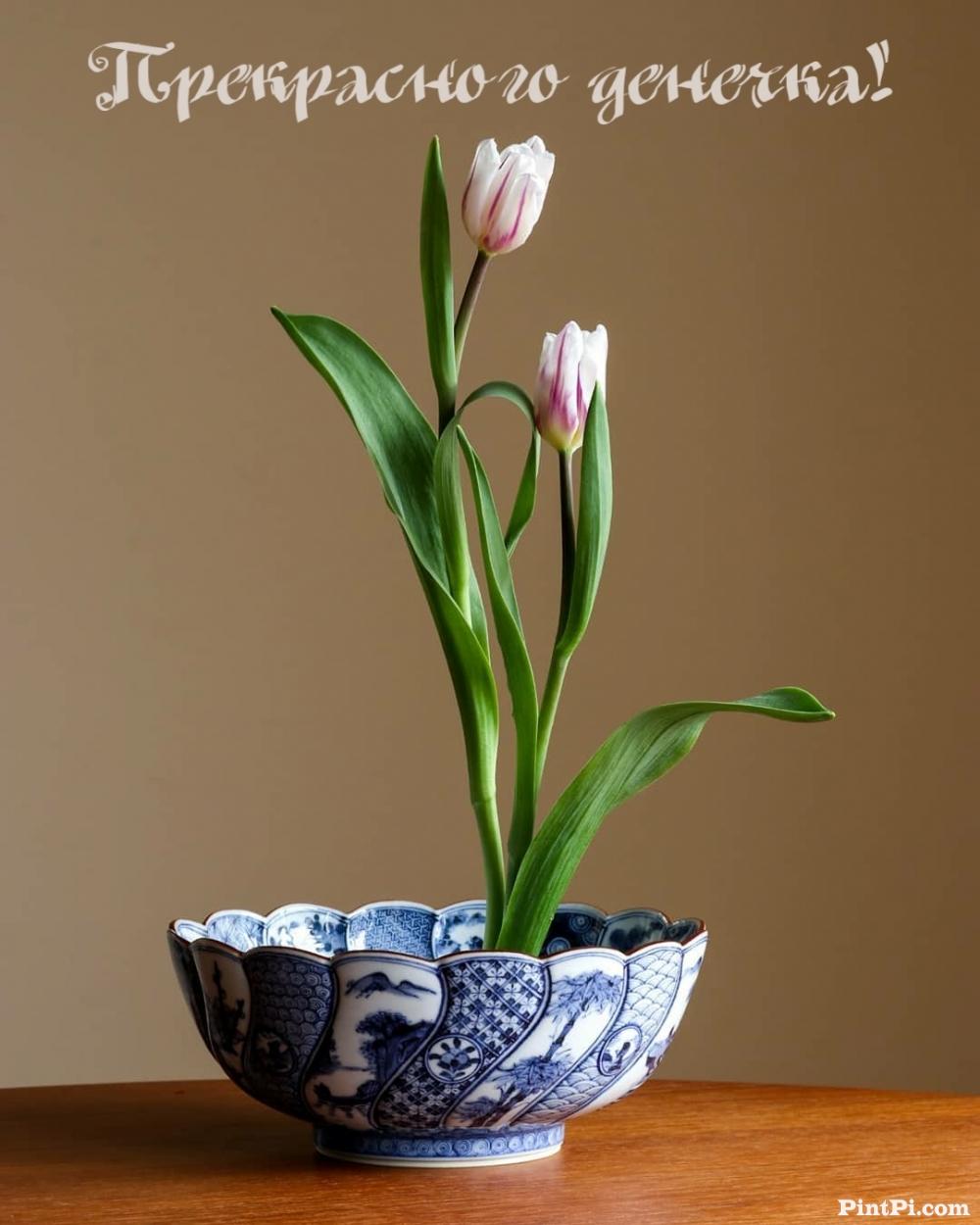 Прекрасного денечка!