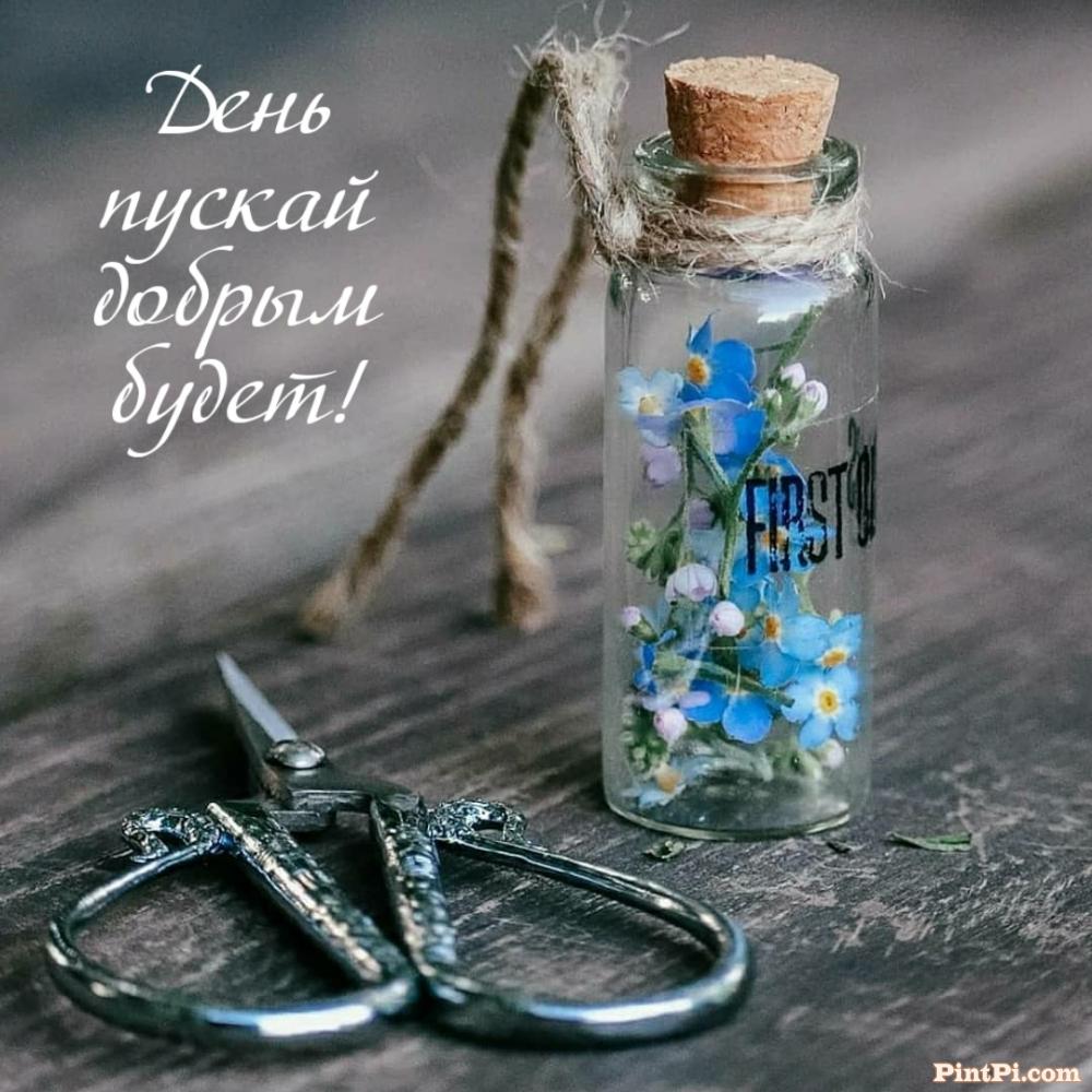 День пускай добрым будет!