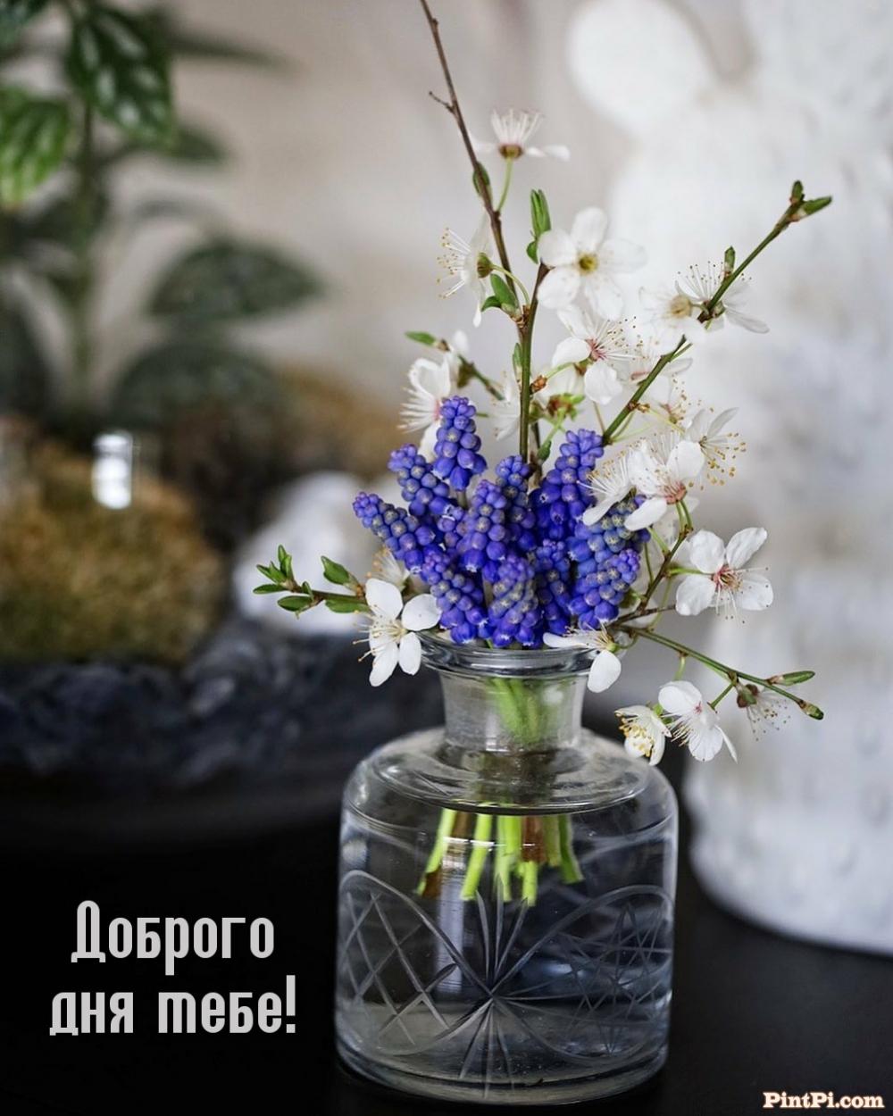 Доброго дня тебе!