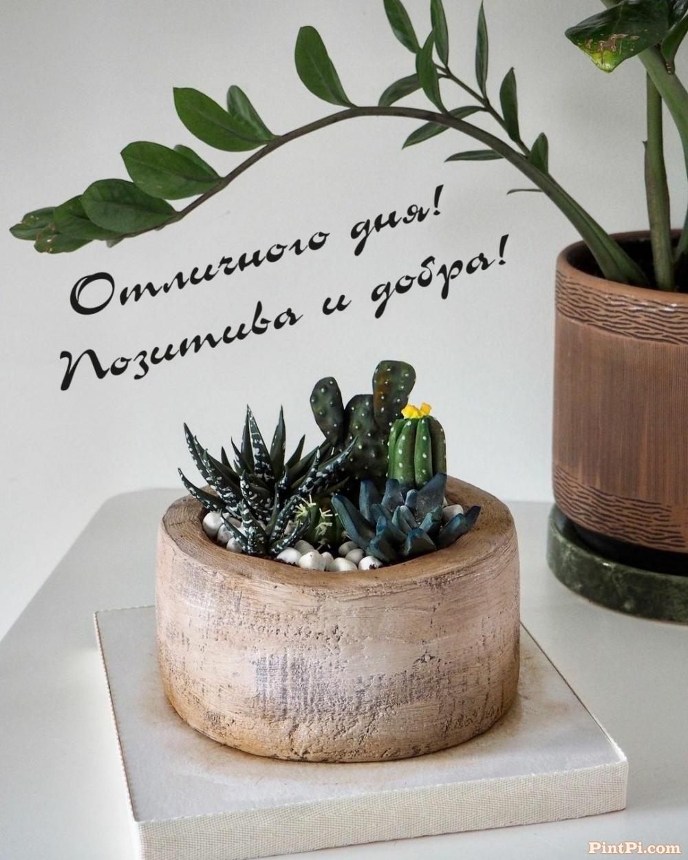 Отличного дня! Позитива и добра!